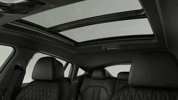 Panorama glass roof Sky Lounge BMW X6 G06 2019 Panorama glass roof Sky Lounge BMW X6 G06 2019